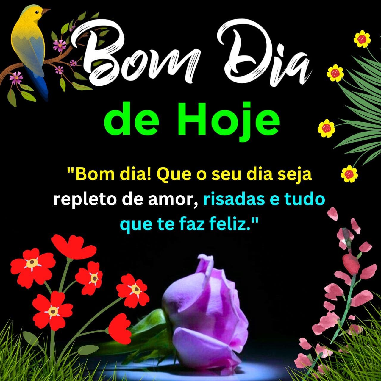 [1084+] Mensagem de Bom Dia de Hoje para WhatsApp Imagens Gratis 2024