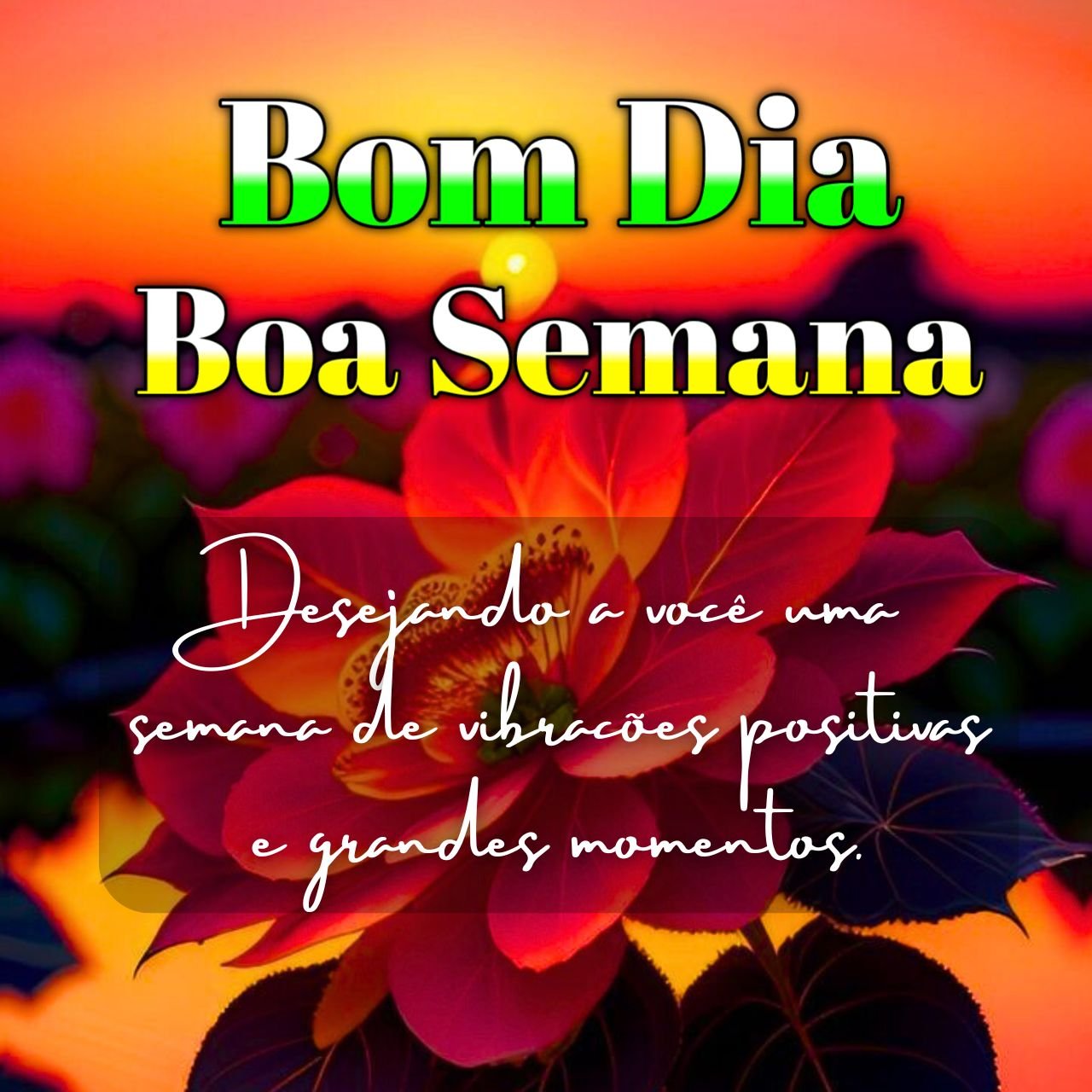 [4000+] Bom Dia Boa Semana Abençoada, Mesnagem, Frases, Amor Imagens Gratis 2024