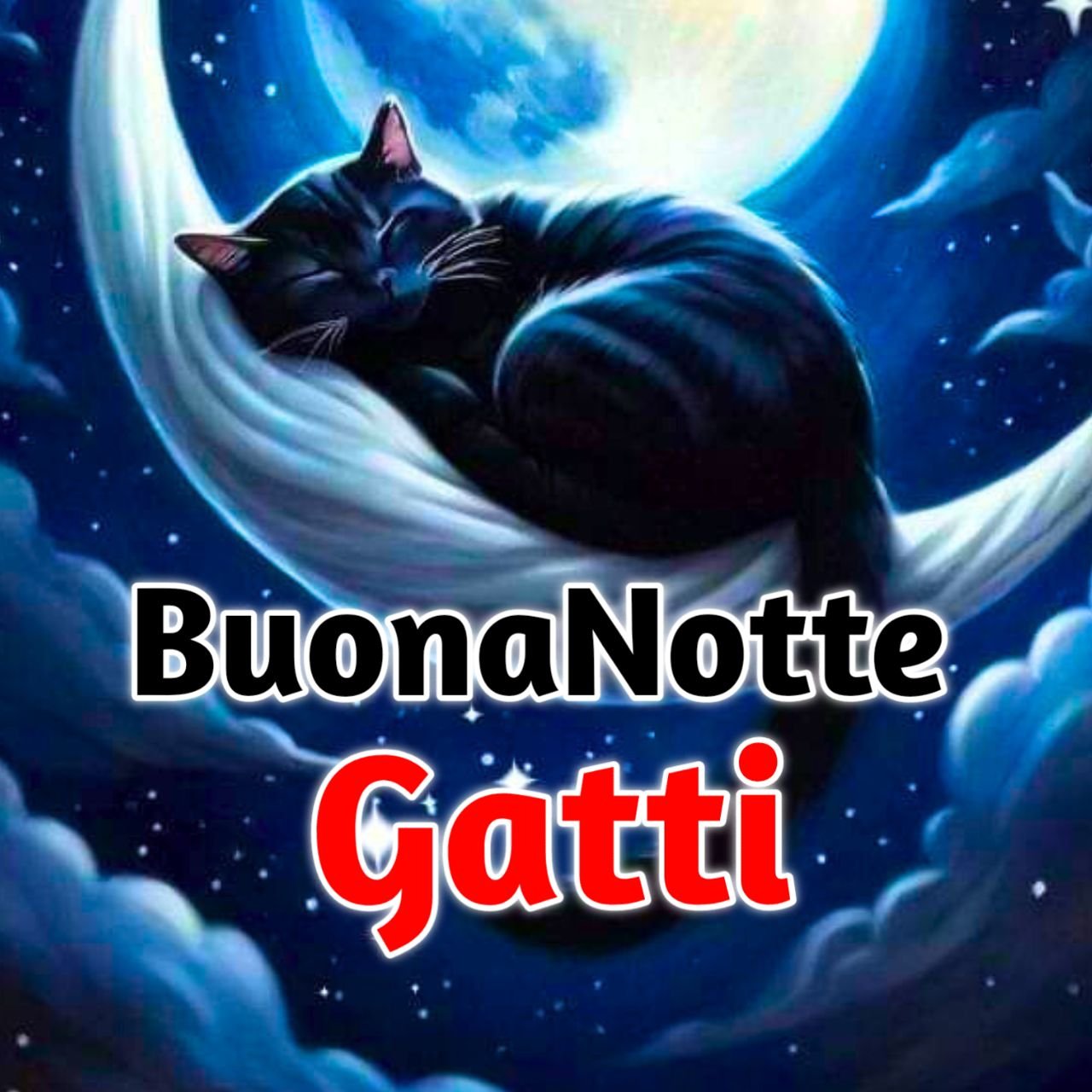 [568+] Buonanotte Gatti Immagini, GIF, Fotos Nuove Gratis 2024