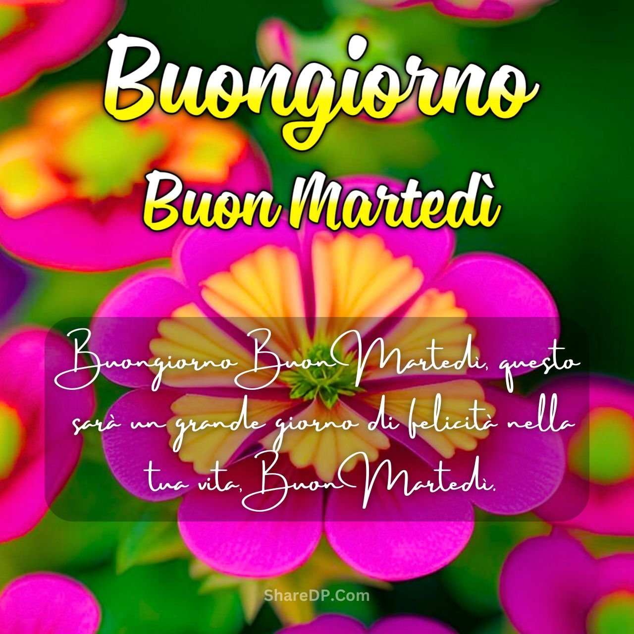 [6787+] Buongiorno Buon Martedì Immagini Nuove Gratis 2024