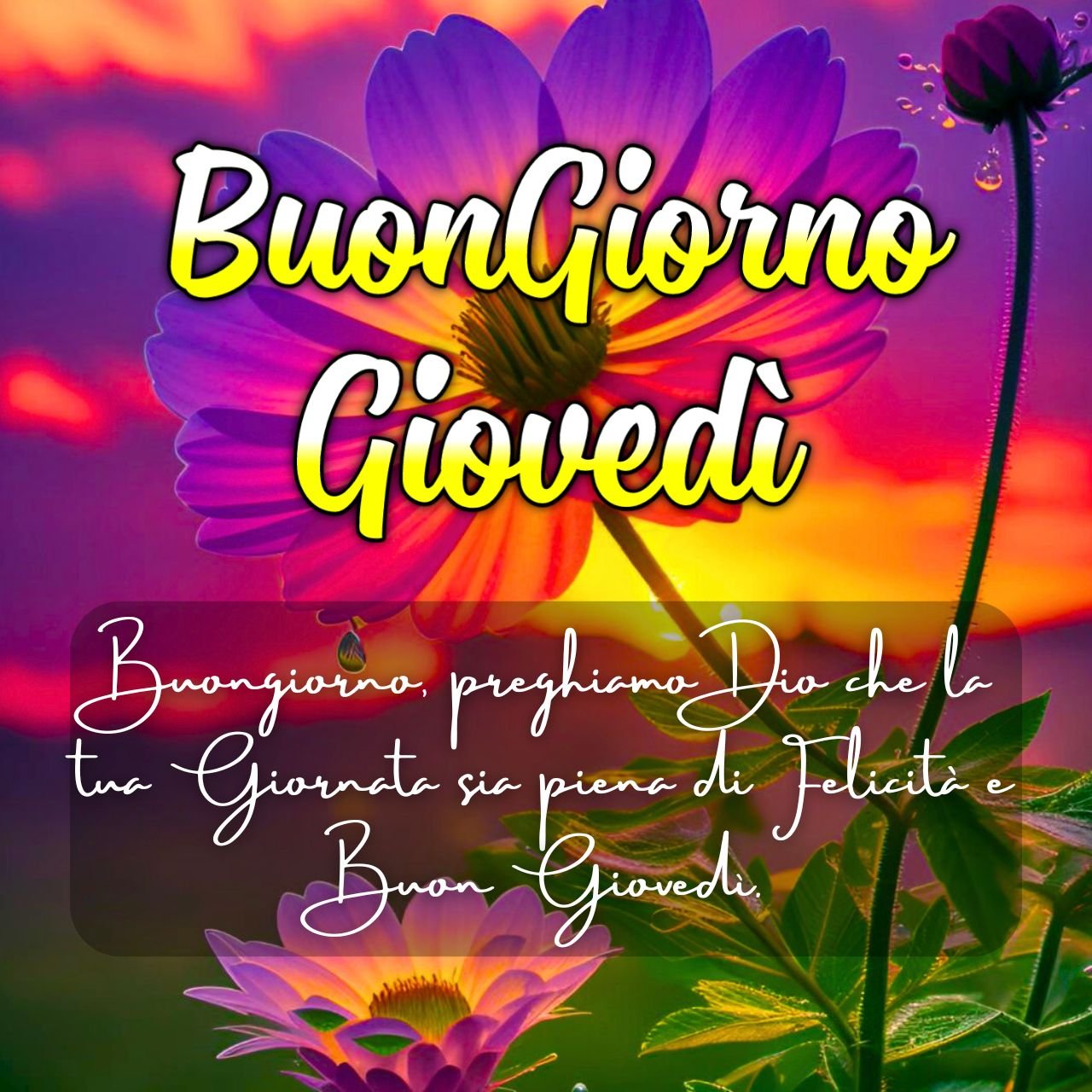 [4000+] Buongiorno Giovedi Immagini, GIF Foto Nuove Gratis 2024