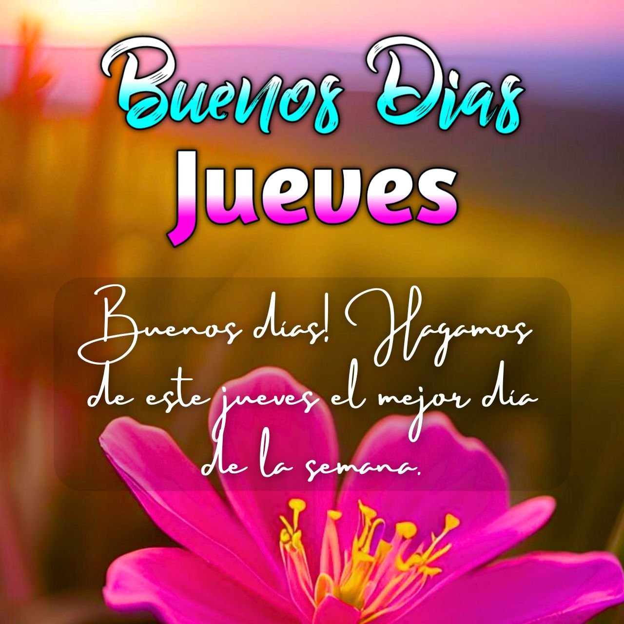 1086+] Imagenes de Buenos Dias Jueves, GIF, Frases y Mensajes Gratis 2024 -  Share DP