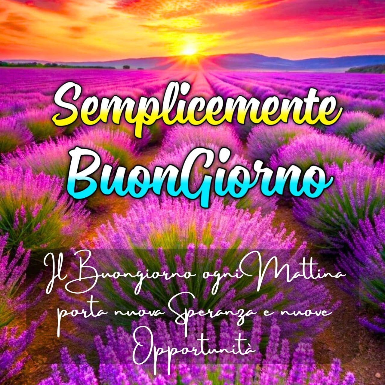 [769+] Semplicemente Buongiorno Immagini Nuove Gratis per WhatsApp 2024