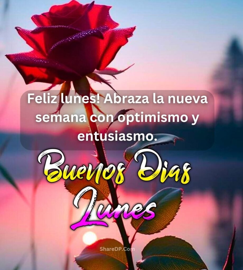 2059+] Imagenes de Buenos Dias Lunes, GIF, Frases y Mensajes Gratis 2024 -  Share DP