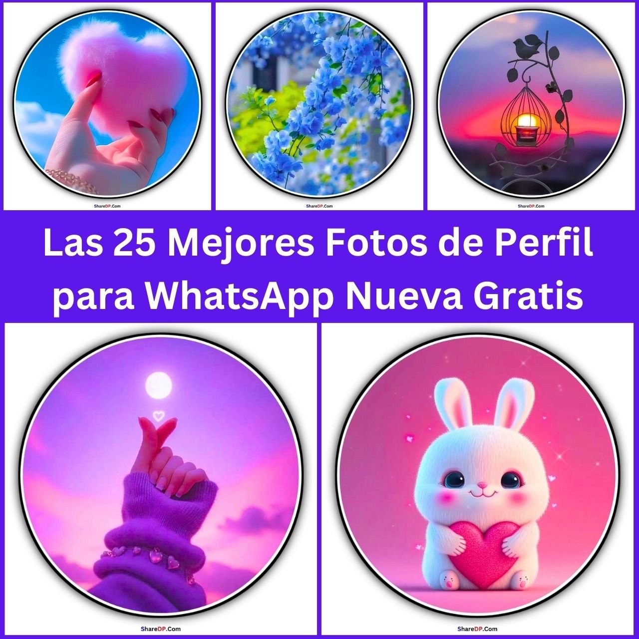 Las 25 Mejores Fotos de Perfil para WhatsApp [Nueva Gratis 2024]