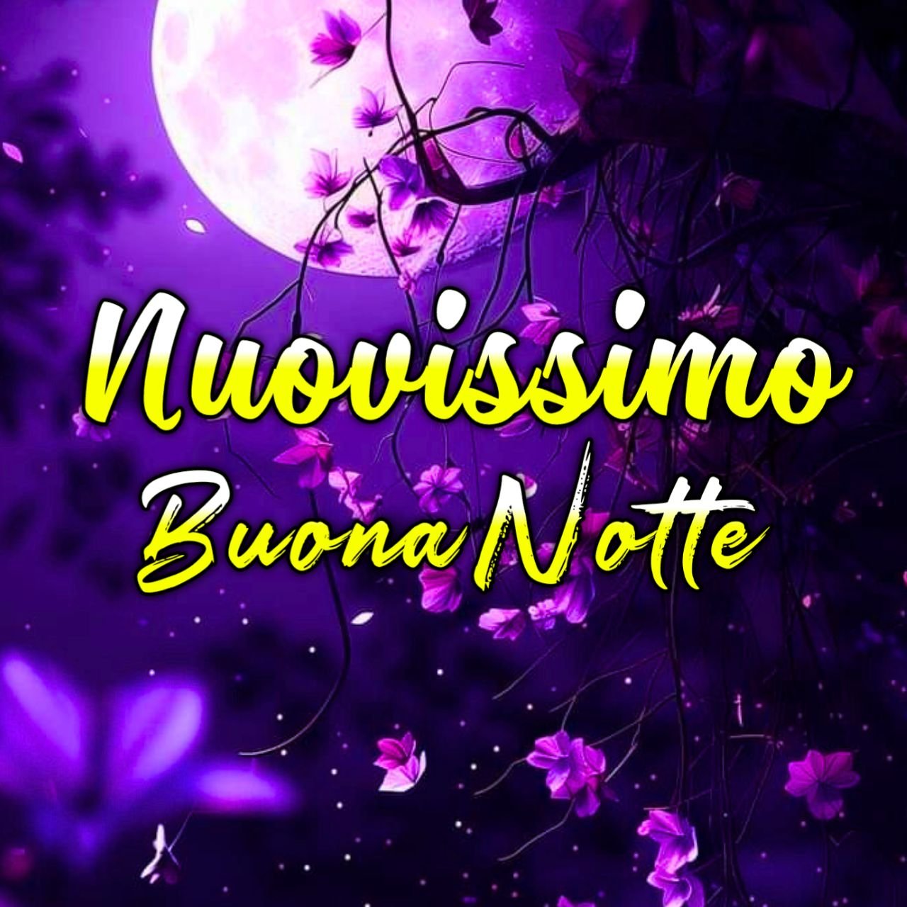 [2068+] Nuovissimo Buonanotte Immagini Recenti {Nuove GIF, Foto Gratis 2024}