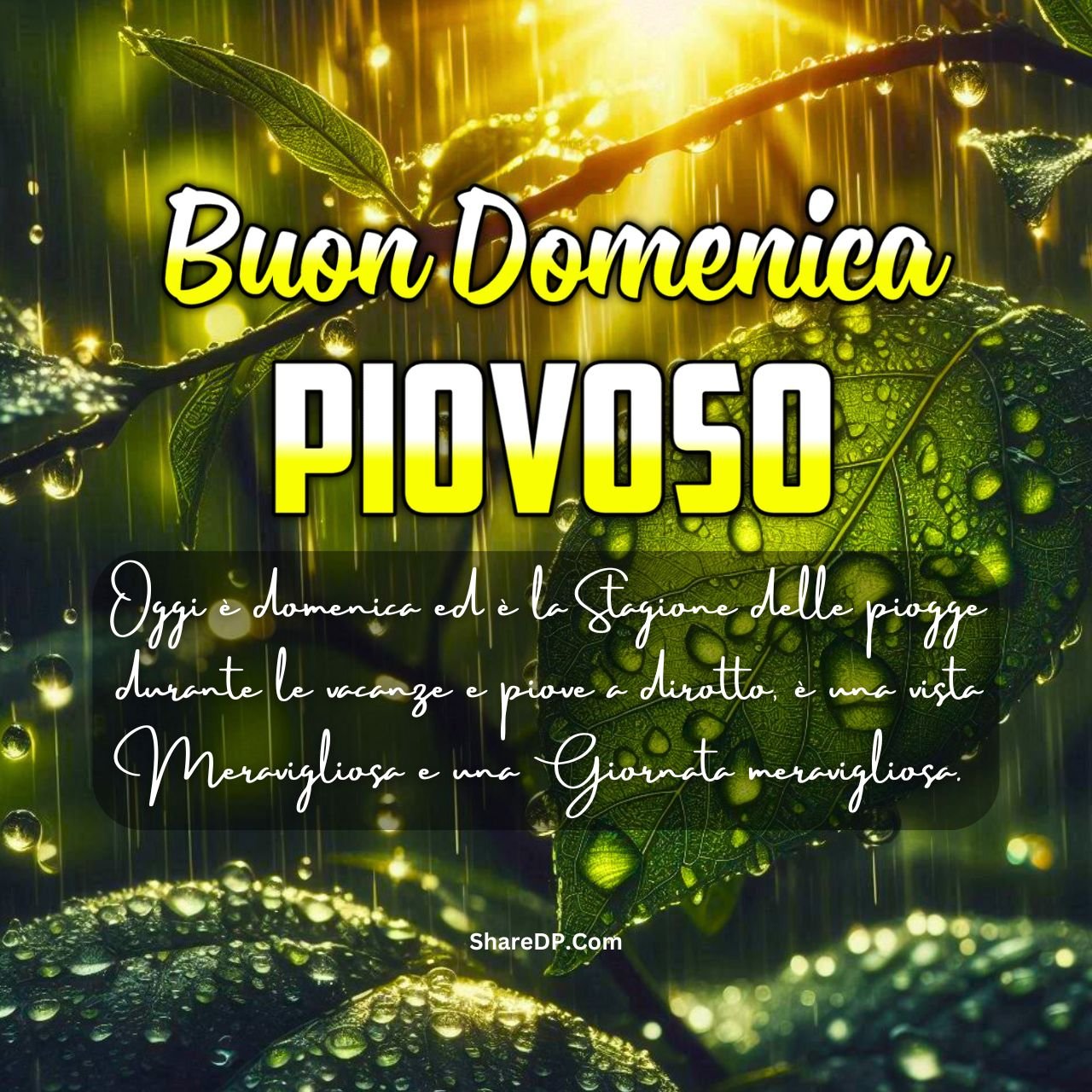 [289+] Buona Demenica Piovosa Immagini, GIF, Frasi, Divertente Nuove Gratis 2024