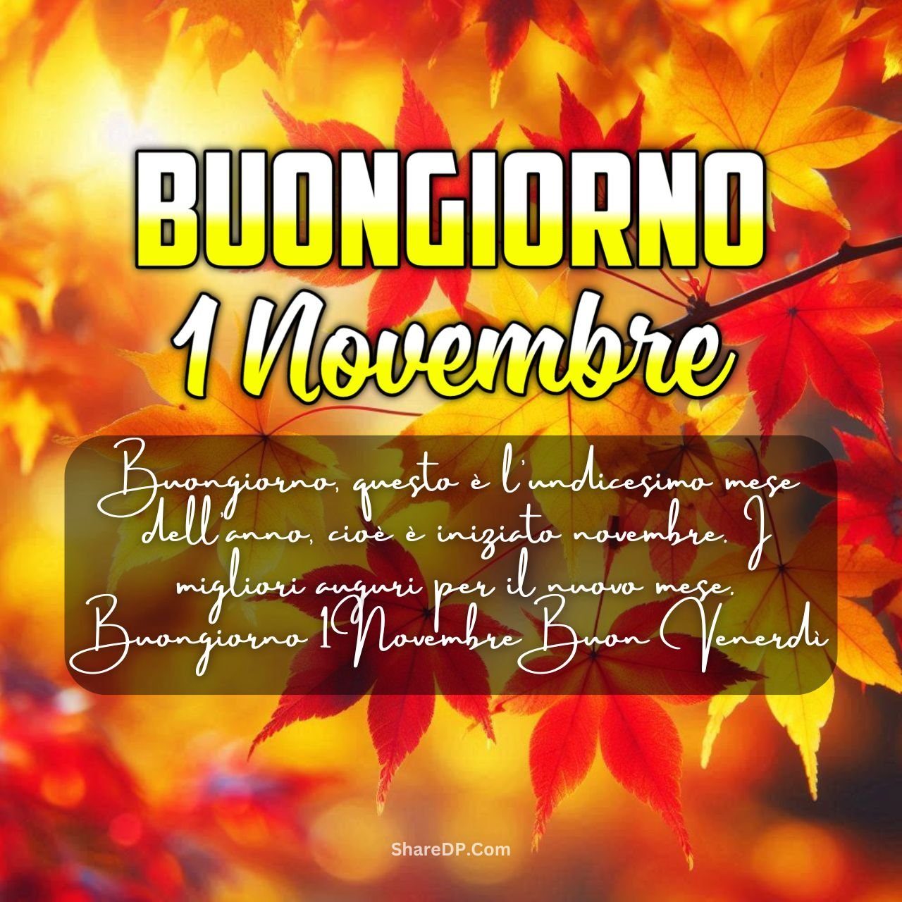 [100+] Buongiorno 1 Novembre Immagini, GIF, Frasi Nuove Gratis {Buon Venerdì 2024}