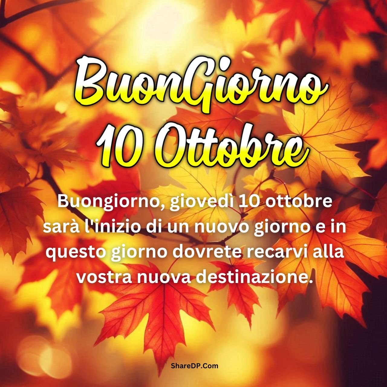 [100+] Buongiorno 10 Ottobre Immagini, GIF, Foto Nuove Gratis {Buon Giovedì 2024}