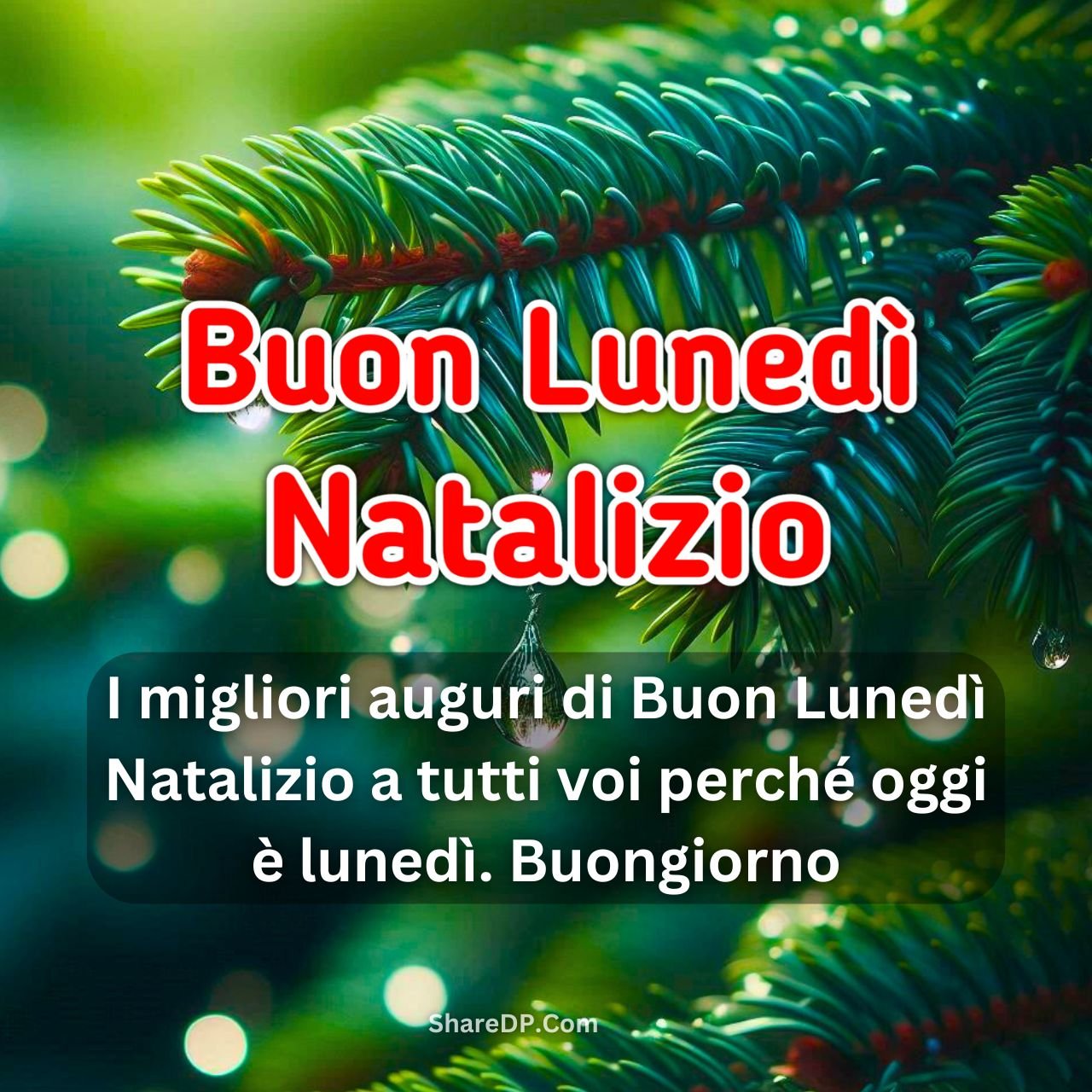 [100+] Buon Lunedì Natalizio Immagini, GIF, Frasi Nuove Gratis 2024