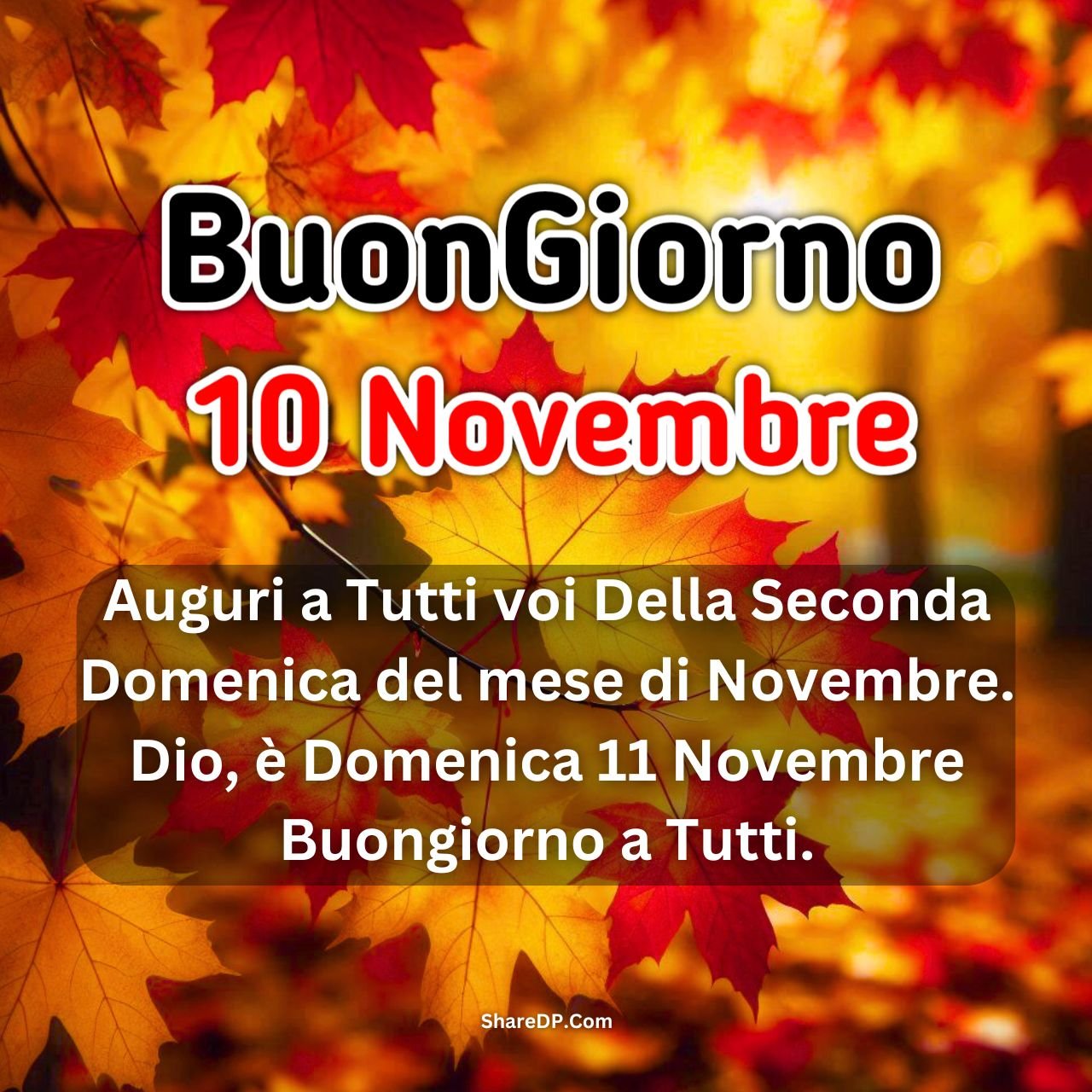 [200+] Buongiorno 10 Novembre Immagini, Frasi, GIF Nuove Gratis {Buona Domenica 2024}