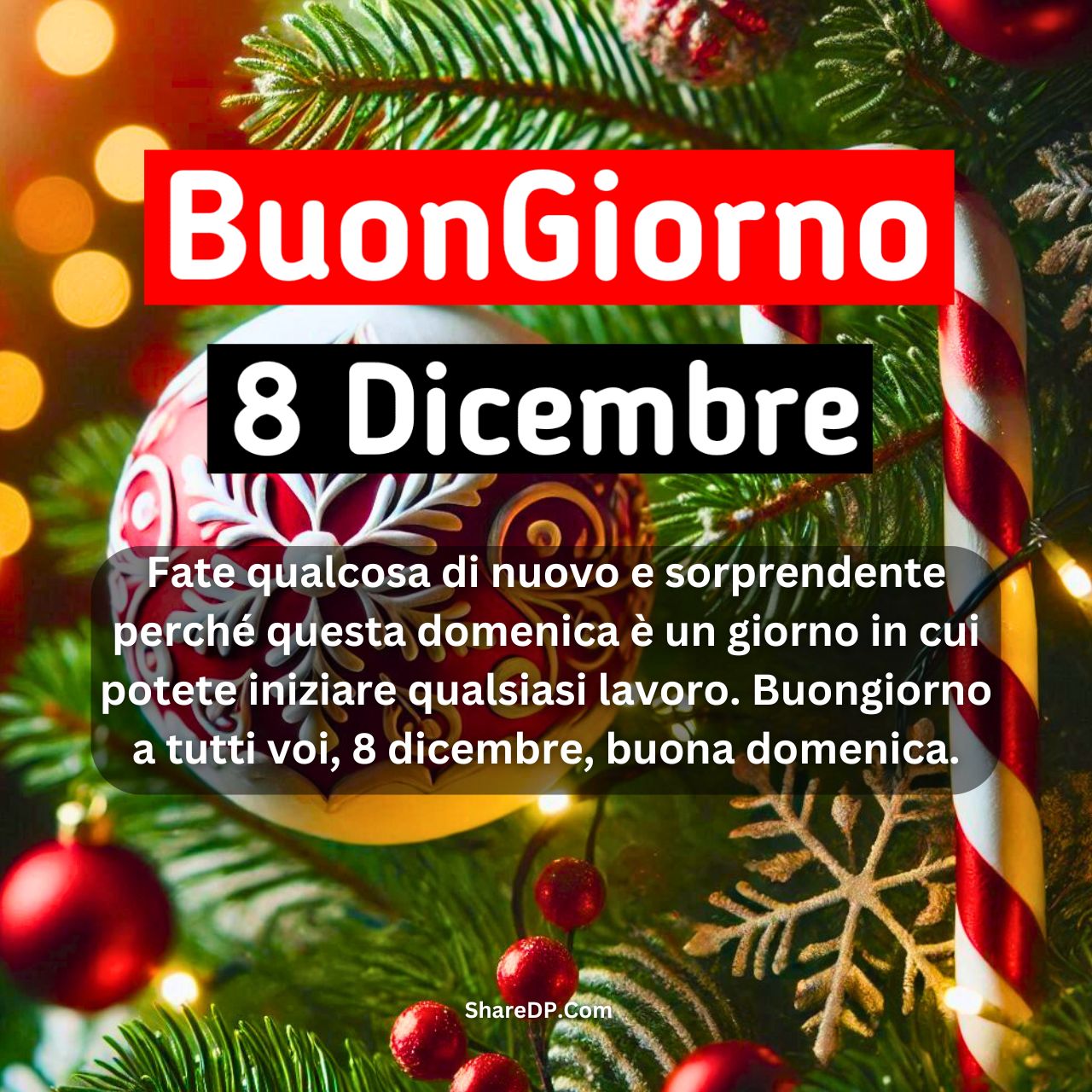 [299+] Buongiorno 8 Dicembre Immagini, GIF, Frasi Nuove Gratis {Buona Domenica 2024}