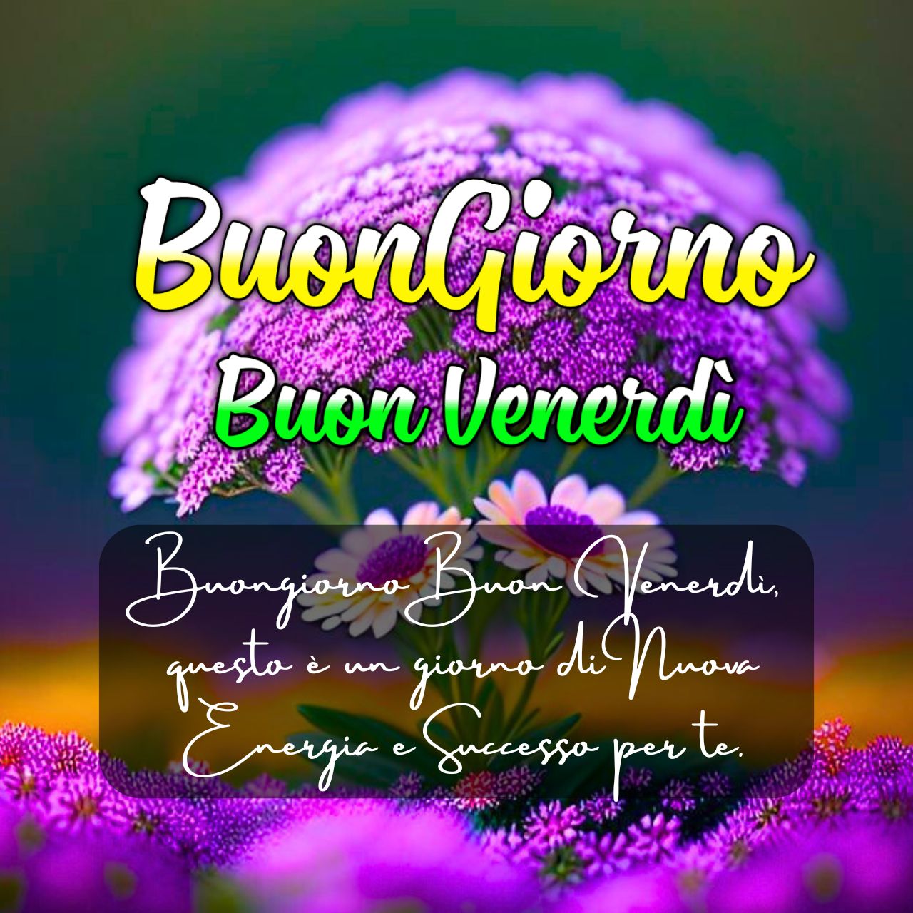 Buongiorno Buon Venerdì Immagini Nuove Gratis 2025 A Tuuti GIF, Foto
