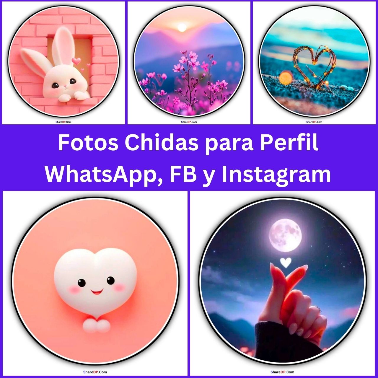 Fotos Chidas para Perfil WhatsApp, FB y Instagram Nueva 2025