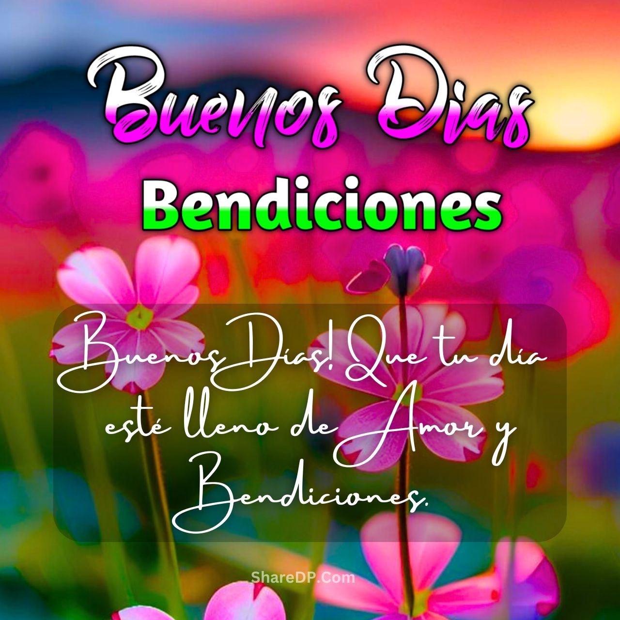 Imagenes de Buenos Dias Bendiciones Frases, GIF Nuevas Gratis 2025