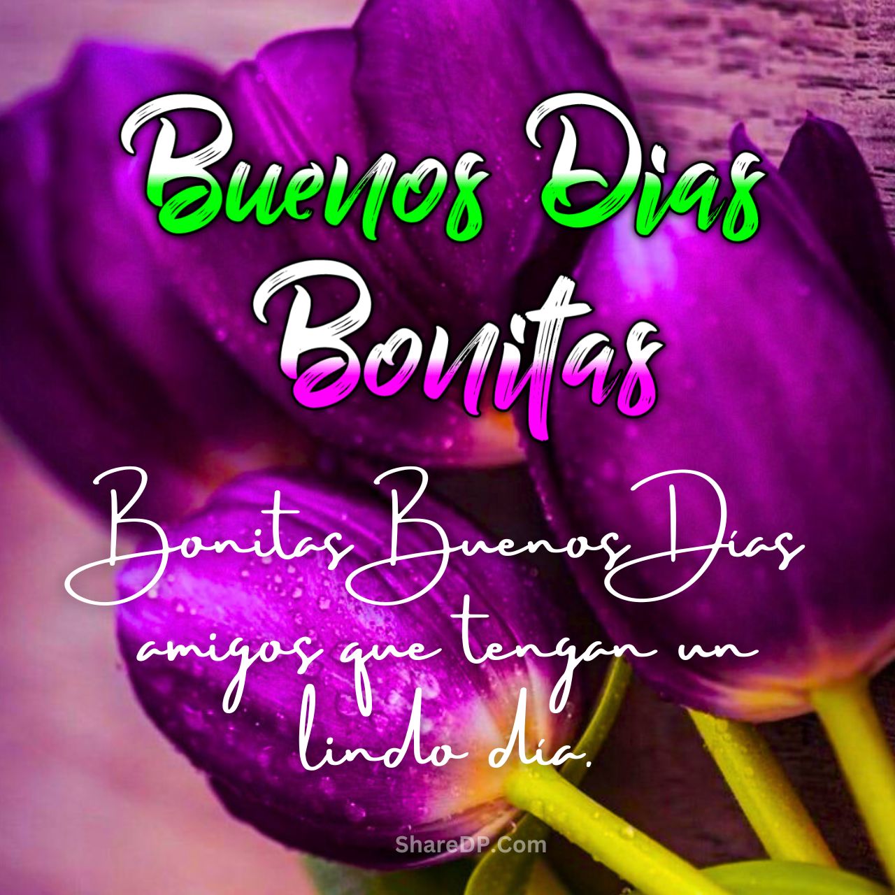 Imagenes de Buenos Dias Bonitas para Descargar Gratis 2025