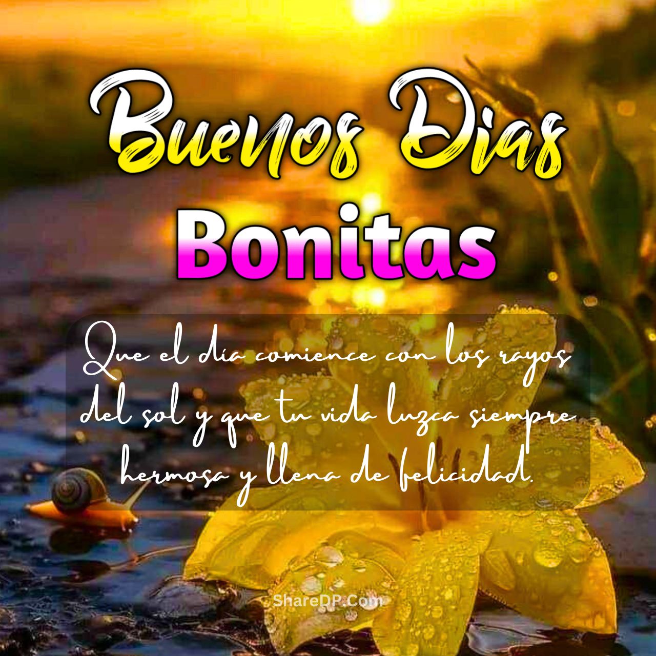 Imágenes de Buenos Días Nuevas y Bonitas Gratis 2025