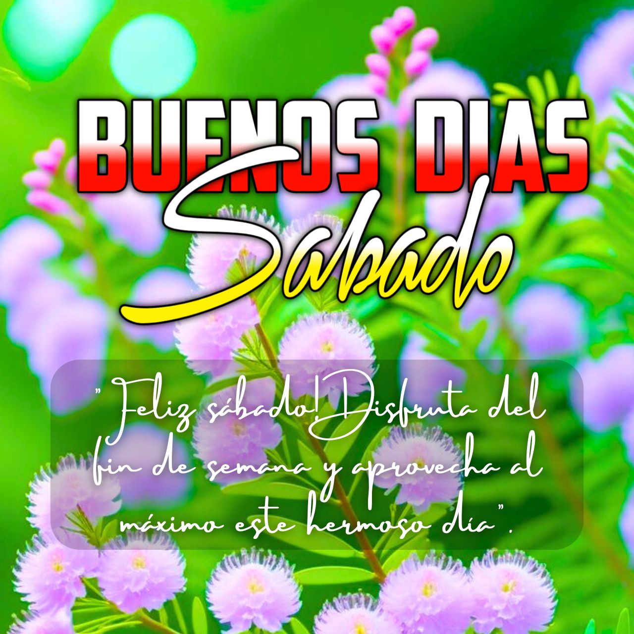 Imagenes de Buenos Dias Sabado, GIF, Frases y Mensajes Nuevo Gratis 2025