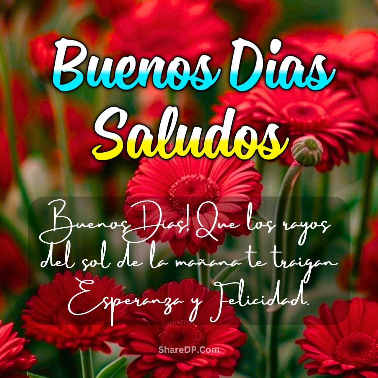 Saludos de Buenos Dias Originales Frases, GIF Nuevas Gratis 2025