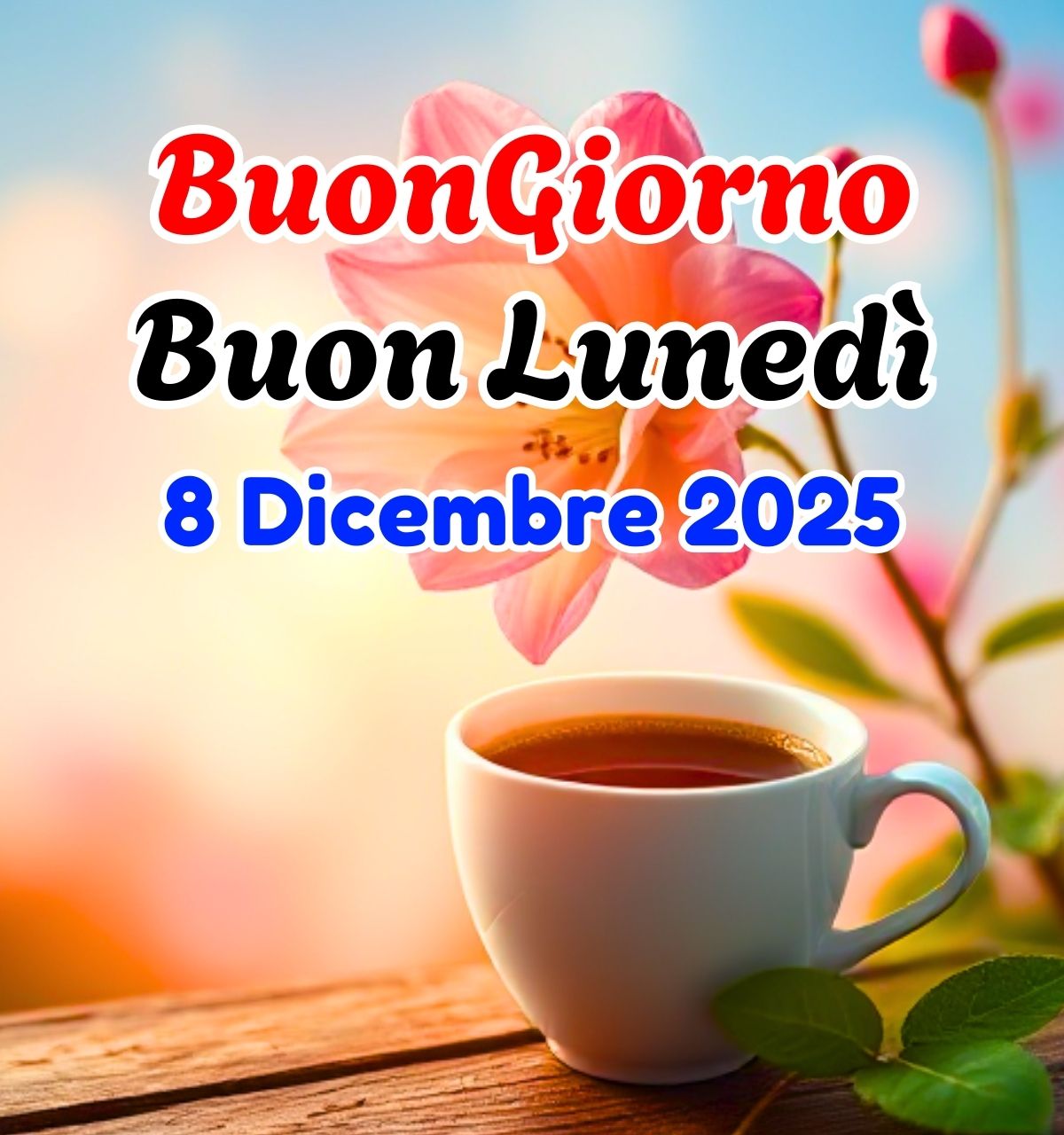 buon lunedi 8 dicembre 2025 buongiorno