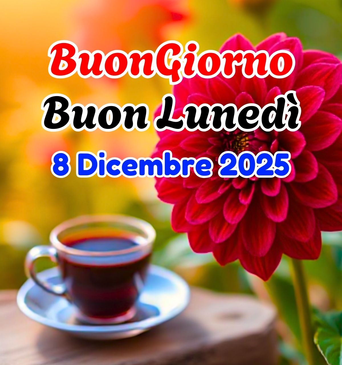 buon lunedi 8 dicembre