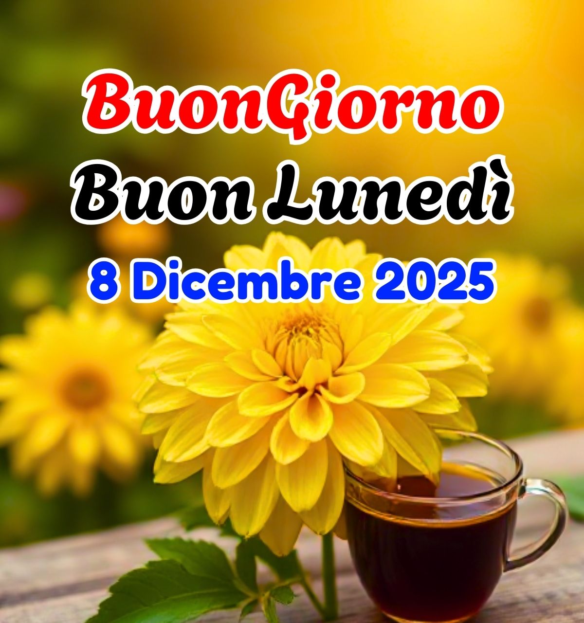 buongiorno buon luned&igrave; 8 dicembre 2025