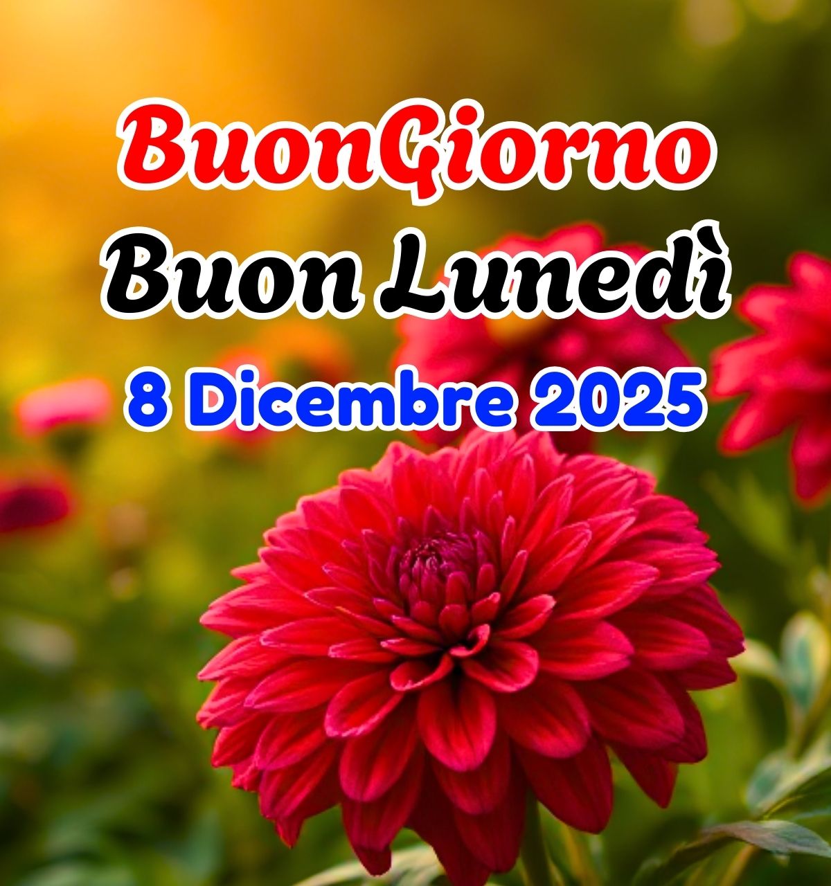 buongiorno buon luned&igrave; 8 dicembre 2025 immagini