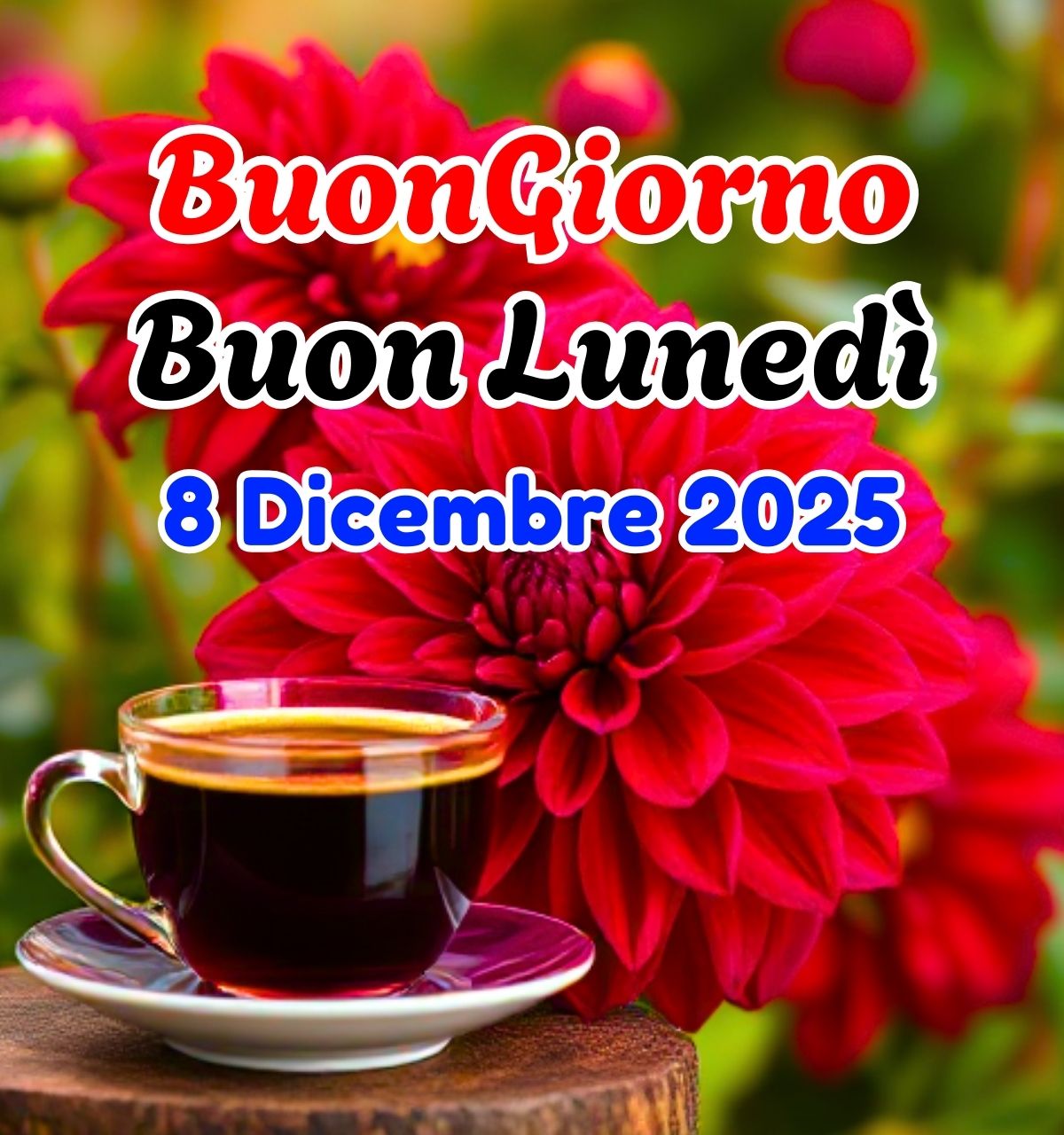 buongiorno buon lunedi 8 dicembre 2025