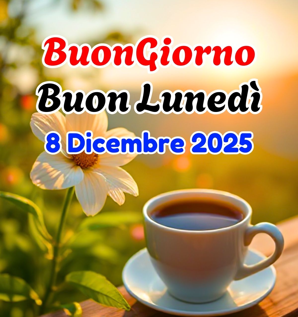 buongiorno luned&igrave; 8 dicembre 2025