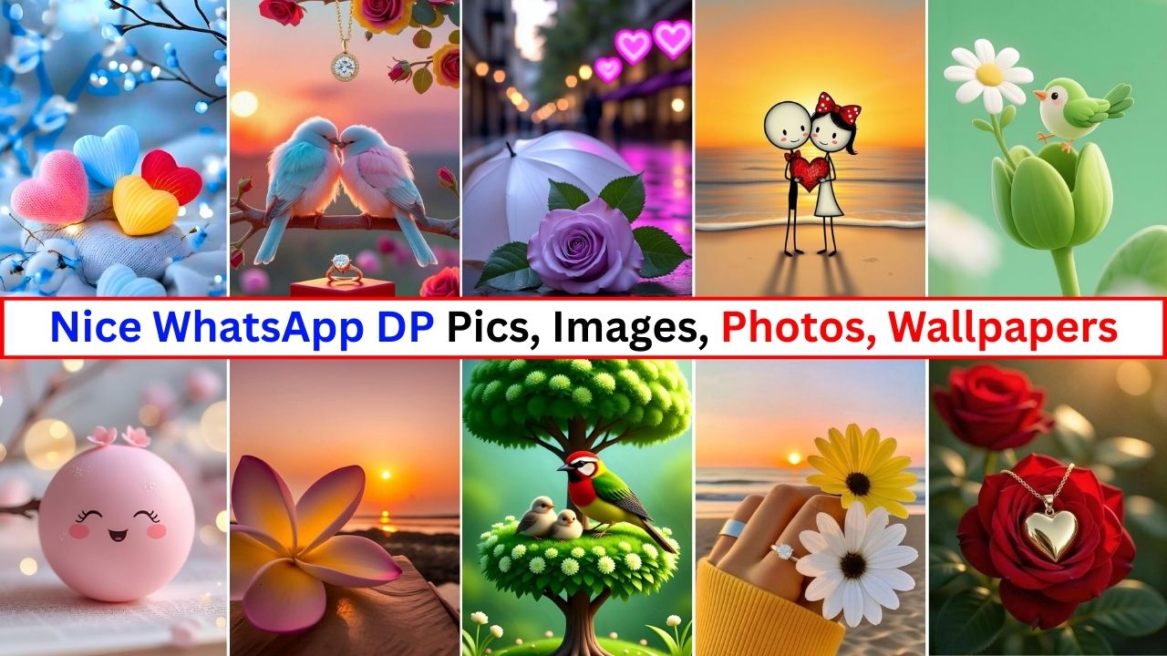 Nice WhatsApp DP Pics, Images, Photos, Wallpapers 2026