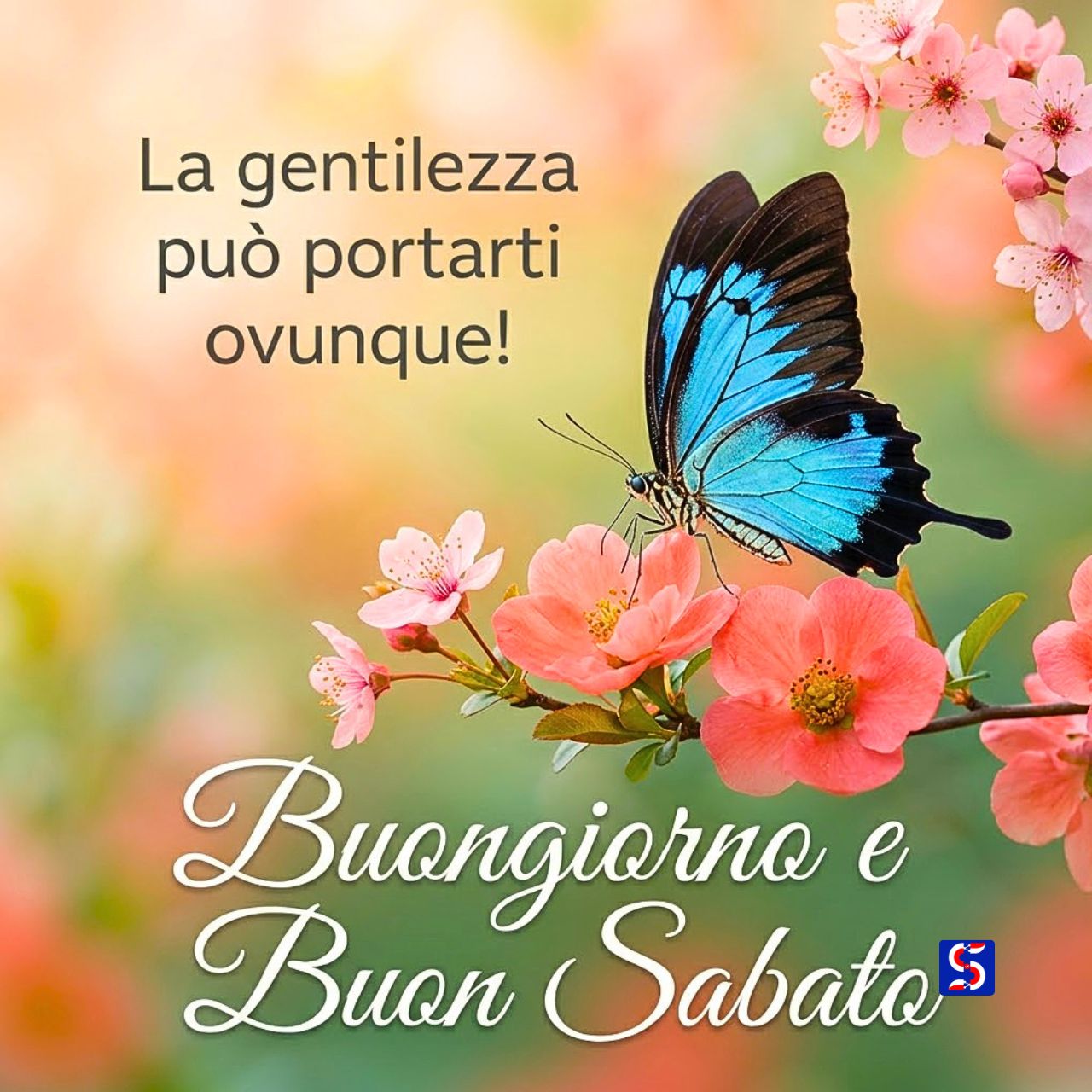 Farfalla su rose corallo con citazione gentile e saluto Buongiorno e Buon Sabato.