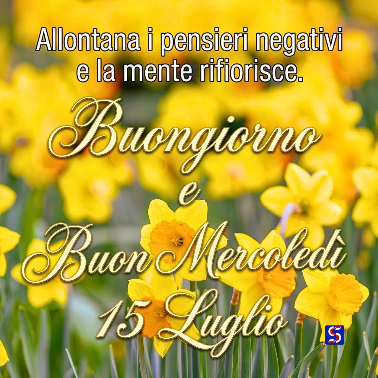 Buongiorno e buon mercoledì 15 luglio immagini nuove colorate e motivazionali da condividere